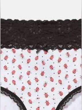 Torrid Size 4 Plus Size 4X NWT Bundle 3 Pairs Hipster-Cheeky Panties Lace